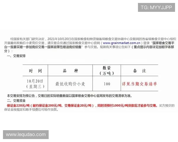 壹号专用红星：红星装备的市场价值分析与投资建议